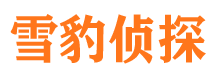 阜阳市侦探调查公司